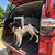 Bonnie Pieper Petersen's profile image