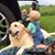 Travis Lizotte's profile image