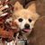 Deloras Shubert's profile image