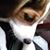 Berndt Bev's profile image
