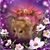 Grace Paolantonio's profile image
