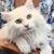 Sandy Boudrie's profile image