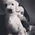 Dounia Gisselle's profile image