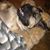 Linda Donohue's profile image