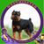 Jeff Kestner's profile image