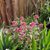 Joyce Crispin's profile image