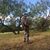 Eliseo Hernandez's profile image