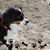 Ada Prieto Morgan's profile image
