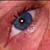 Lauren Kahl's profile image