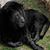 Renita Smith's profile image