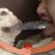 Jun Okamura's profile image