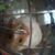 Mandy North's profile image