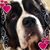 Kristal Onken Stewart's profile image