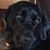Donna Mader Smith's profile image