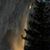 Shelly Gabriel Rowe's profile image