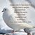Karen S. Anderson's profile image