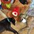 Jean Petak Patla's profile image