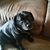 Kristin Greening Toth's profile image