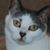 Michael Lovejoy's profile image