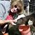Sue Coffey's profile image