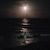 Kimberly Andrews's profile image