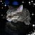 Shelley Lynn King's profile image
