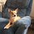 Mark A. Hoskins's profile image