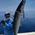 Vasiliy Sarasota's profile image