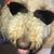 Holly Andrus's profile image