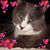 Christine Braley's profile image