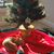 Mirella Reali's profile image