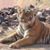 George Preuser Jr.'s profile image
