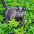Sue Jeffery's profile image