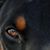 Robert Idaszak's profile image