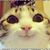 Nora Martinez's profile image