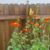 Nancy Fahrner Meskill's profile image