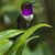 Lori Bailey Le Jeune's profile image