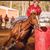 Denise Whitlock Phelps's profile image