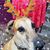 Dana Lee's profile image