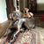 Valerie Moser Rhoads's profile image