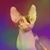 Madeline Simms's profile image