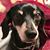 Melynda Swain's profile image