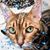 Kitty Carlisle's profile image