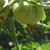 Cheryl Holder's profile image