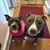 Tracey Laub Nilan's profile image