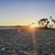 Sonia Rodriguez's profile image