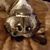 Joe Nathaniel Carrizales's profile image