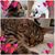 Mary Carter-Welton's profile image