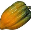 Richard G.'s profile image