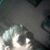 Rifay Kareso's profile image